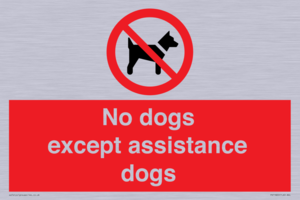 No dogs except assistance dogs